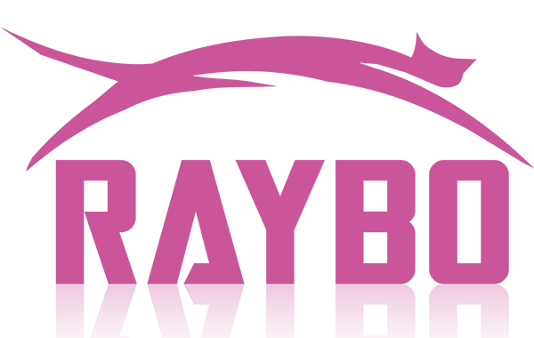 Middle East factory-Raybo Smart